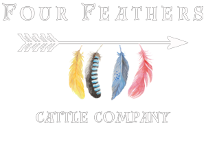 Four Feathers Cattle Company