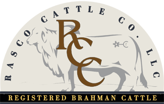 Rasco Cattle Company Logo